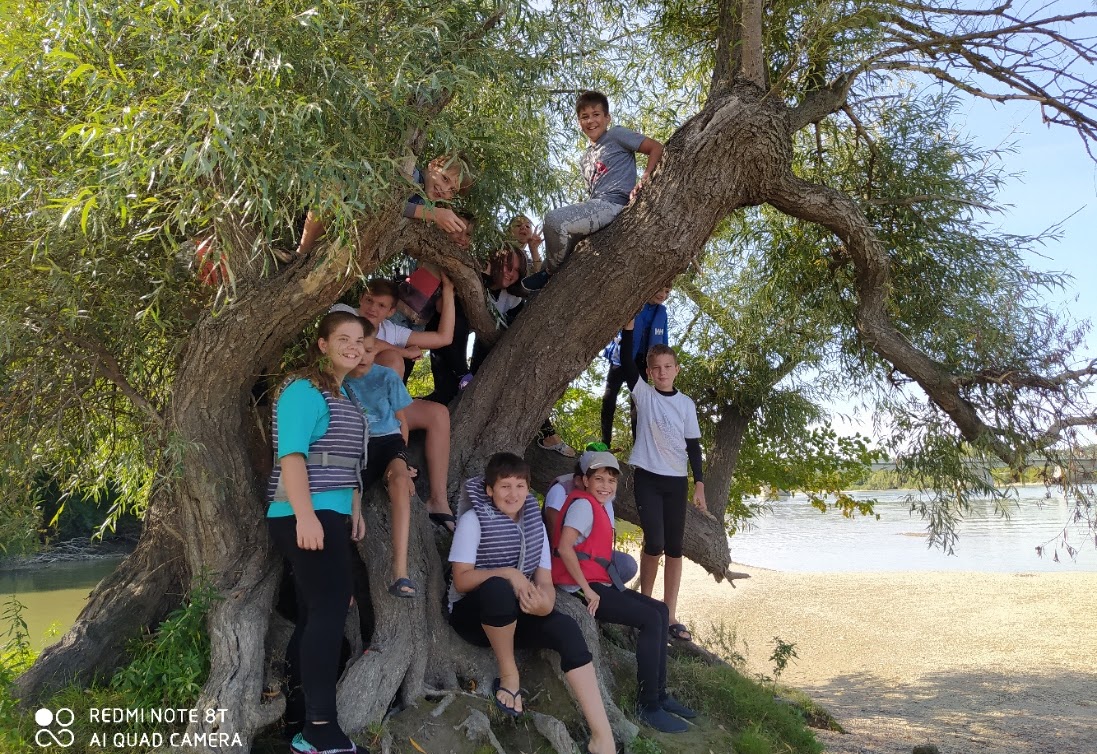 Táborosok a Duna-parton egy nagy fán
